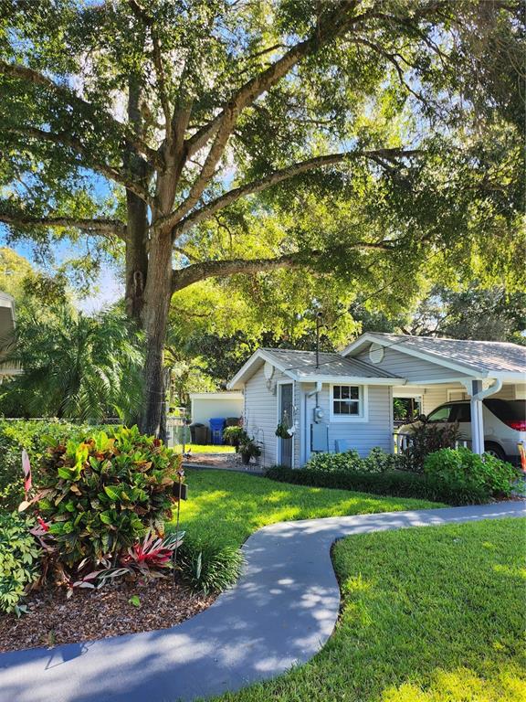 A grey house with a carport and a curved walkway sits under a large tree — 411 BRYAN ROAD, BRANDON, FL
