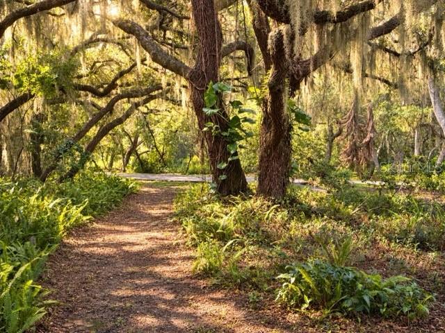 9945 REDS LANE, CLERMONT, FL — photo 5 of 30