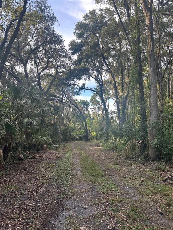 A dirt path leads through a wooded area with tall trees and palmetto bushes — 6661 E TURNER CAMP ROAD, INVERNESS, FL