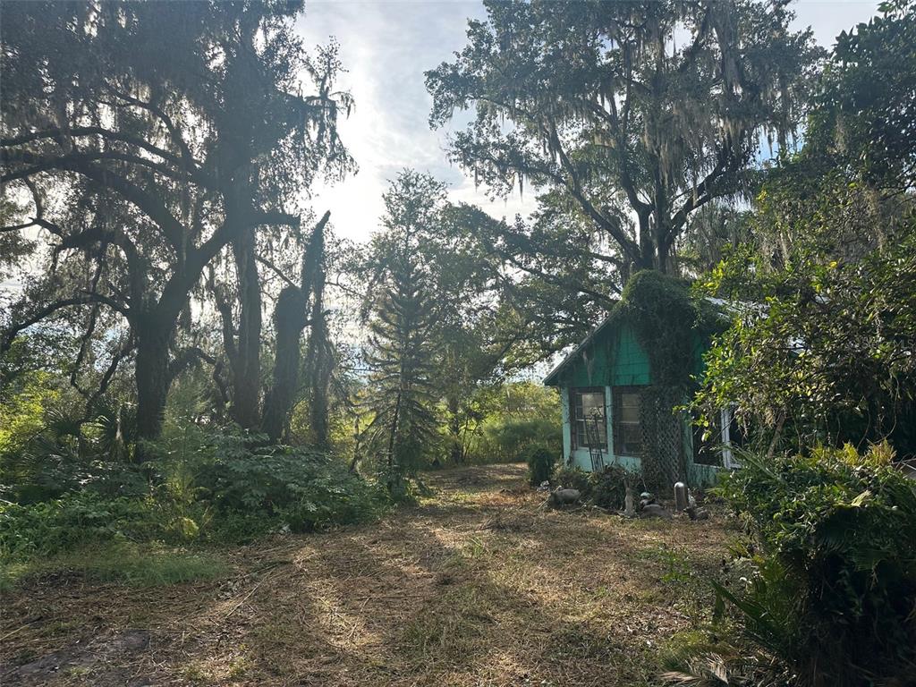 A small green house sits in a clearing surrounded by large trees with hanging moss — 6661 E TURNER CAMP ROAD, INVERNESS, FL