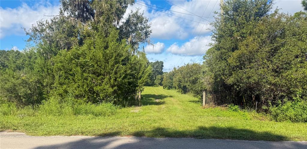 3526 SE 171ST STREET, HAWTHORNE, FL — photo 2 of 12