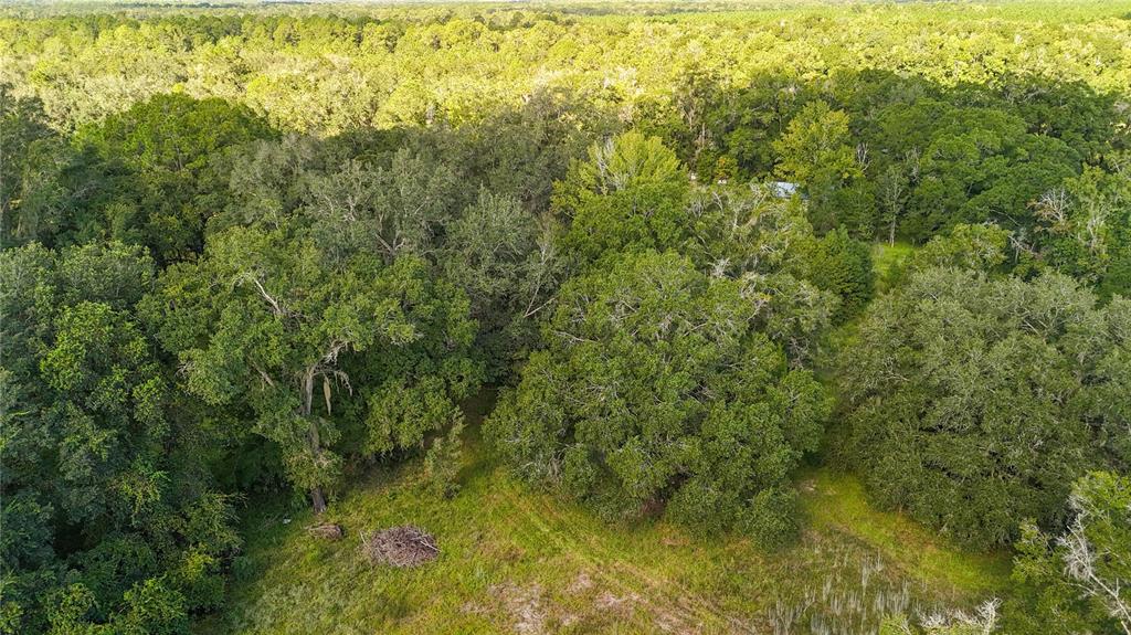 3526 SE 171ST STREET, HAWTHORNE, FL — photo 3 of 12