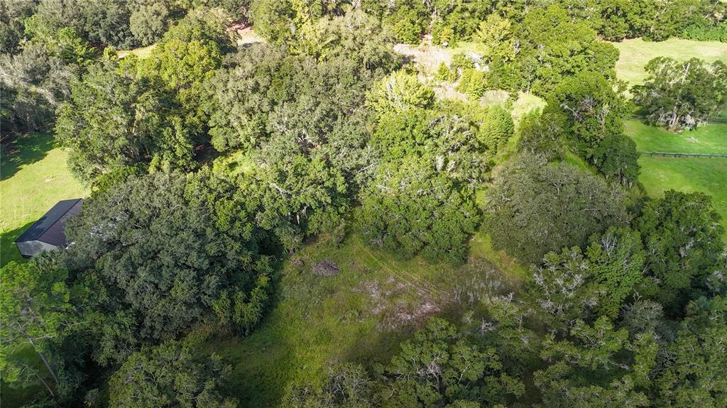 3526 SE 171ST STREET, HAWTHORNE, FL — photo 4 of 12
