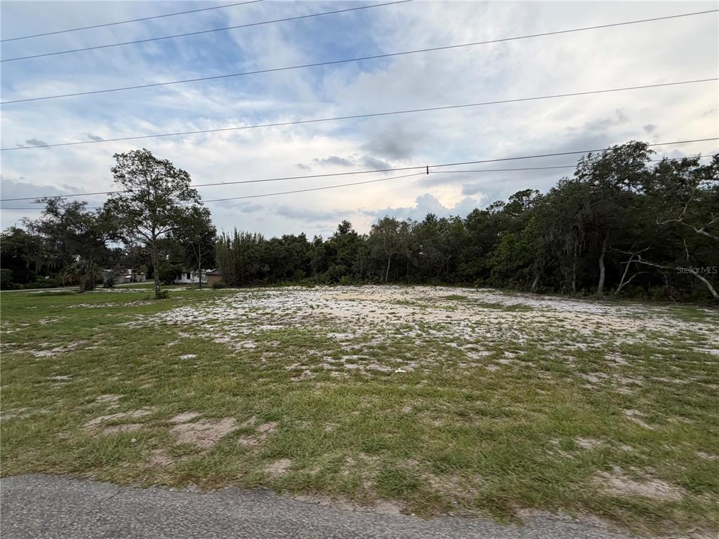 A vacant, grassy lot with sandy patches is bordered by trees under a cloudy sky — COUNTY ROAD 42, DELAND, FL