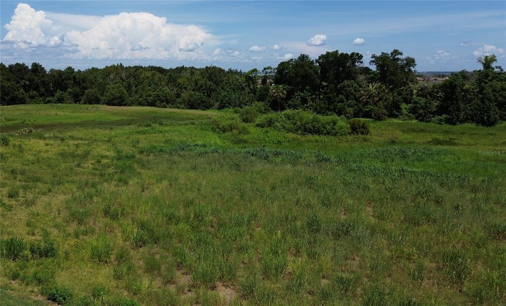 An aerial view shows a large, grassy, undeveloped field bordered by a dense line of trees — FOUNTAINS WEST BOULEVARD, OCOEE, FL