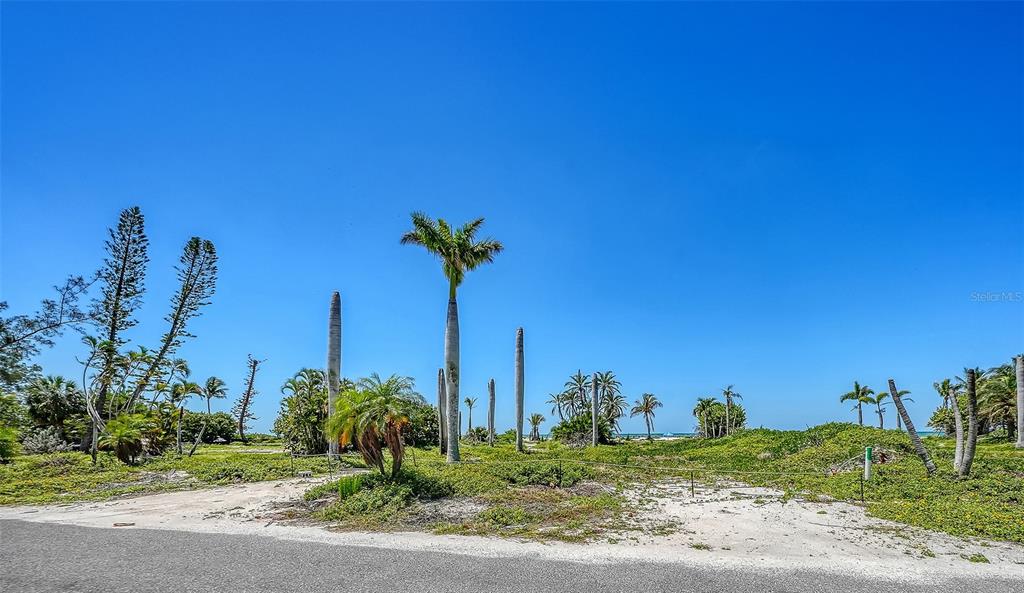 A sandy lot with palm trees and coastal vegetation overlooks the ocean under a blue sky — 6441 GULFSIDE ROAD, LONGBOAT KEY, FL