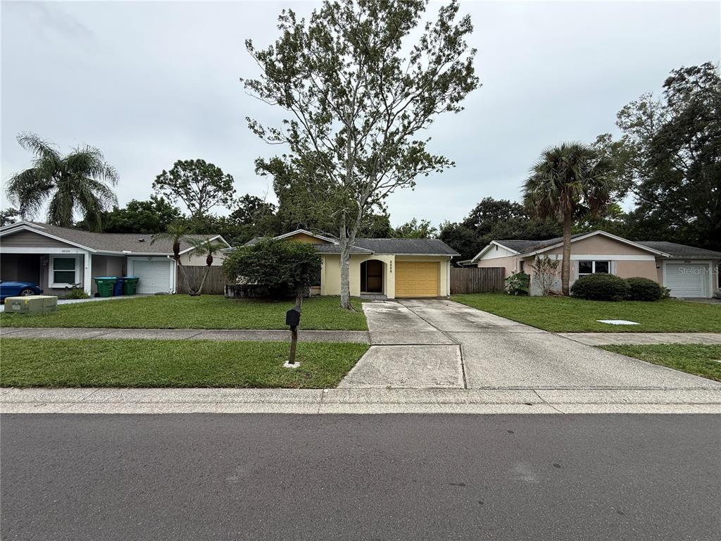 3030 CYPRESS GREEN DRIVE, PALM HARBOR, FL — photo 2 of 23