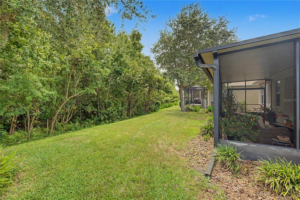 A grassy backyard area adjacent to a screened-in patio with dense trees in the background — 29358 GRASS BUNKER DRIVE, SAN ANTONIO, FL