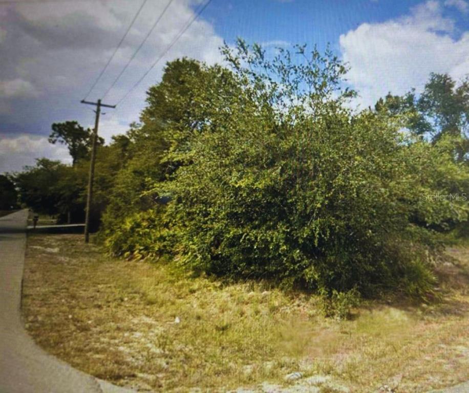 A vacant, overgrown grassy lot features a large bush and a utility pole near a road — 4001 E 20 STREET, ALVA, FL