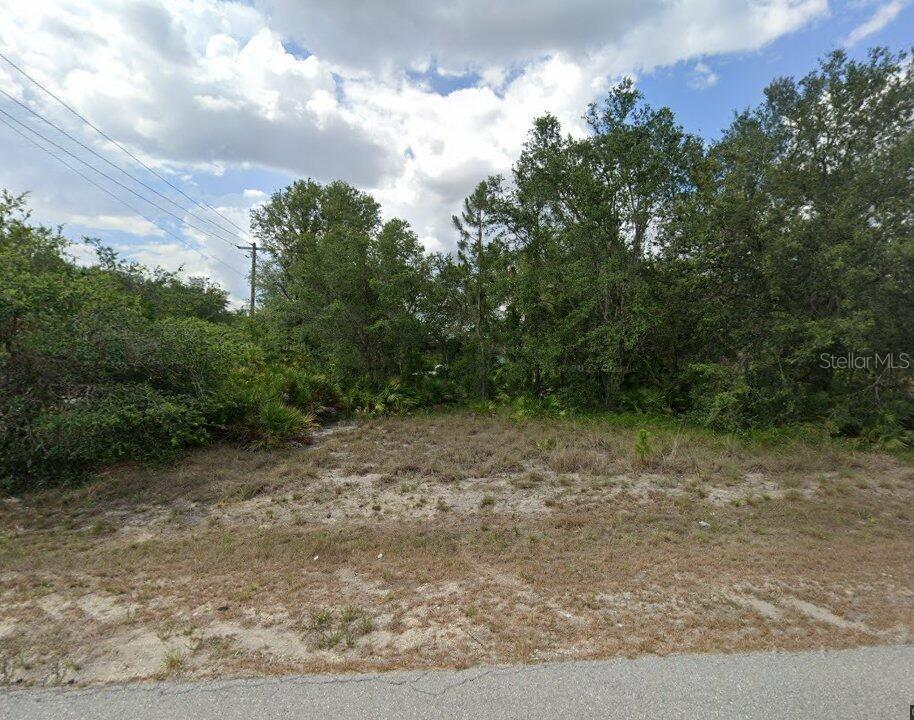 A vacant, sandy lot is covered in sparse grass and surrounded by dense green trees — 4001 E 20 STREET, ALVA, FL