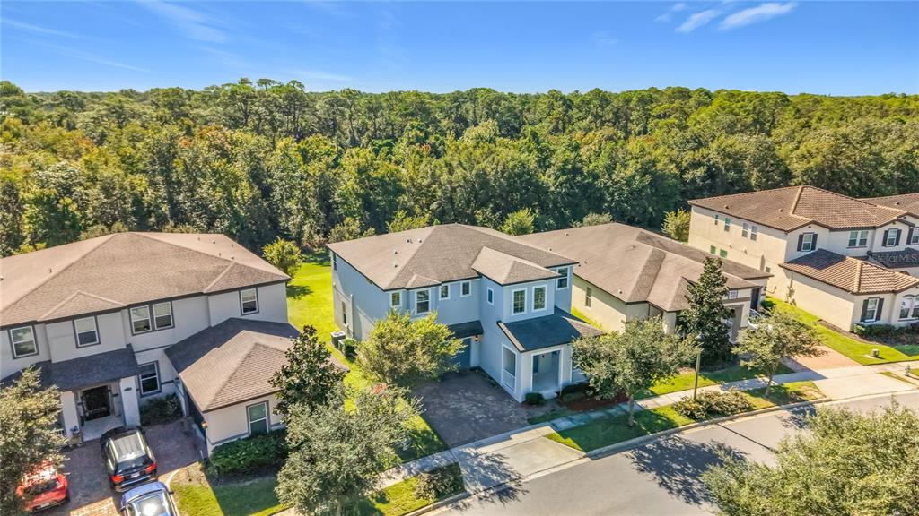 10079 AUSTRINA OAK LOOP, WINTER GARDEN, FL — photo 4 of 47