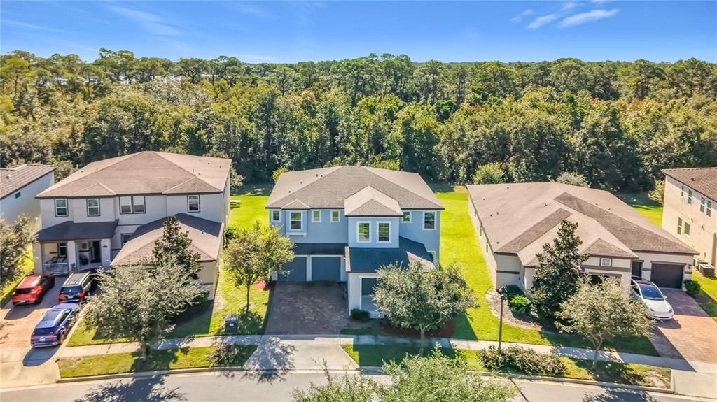 10079 AUSTRINA OAK LOOP, WINTER GARDEN, FL — photo 5 of 47