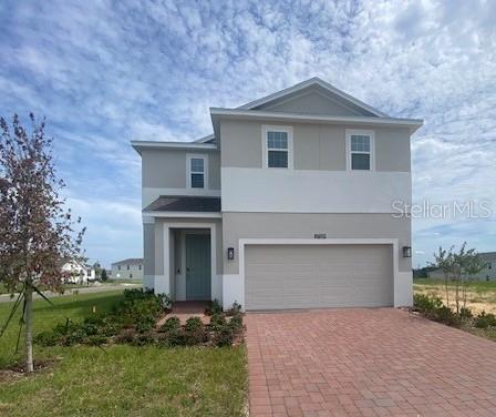 27329 AFRICAN FISH COURT