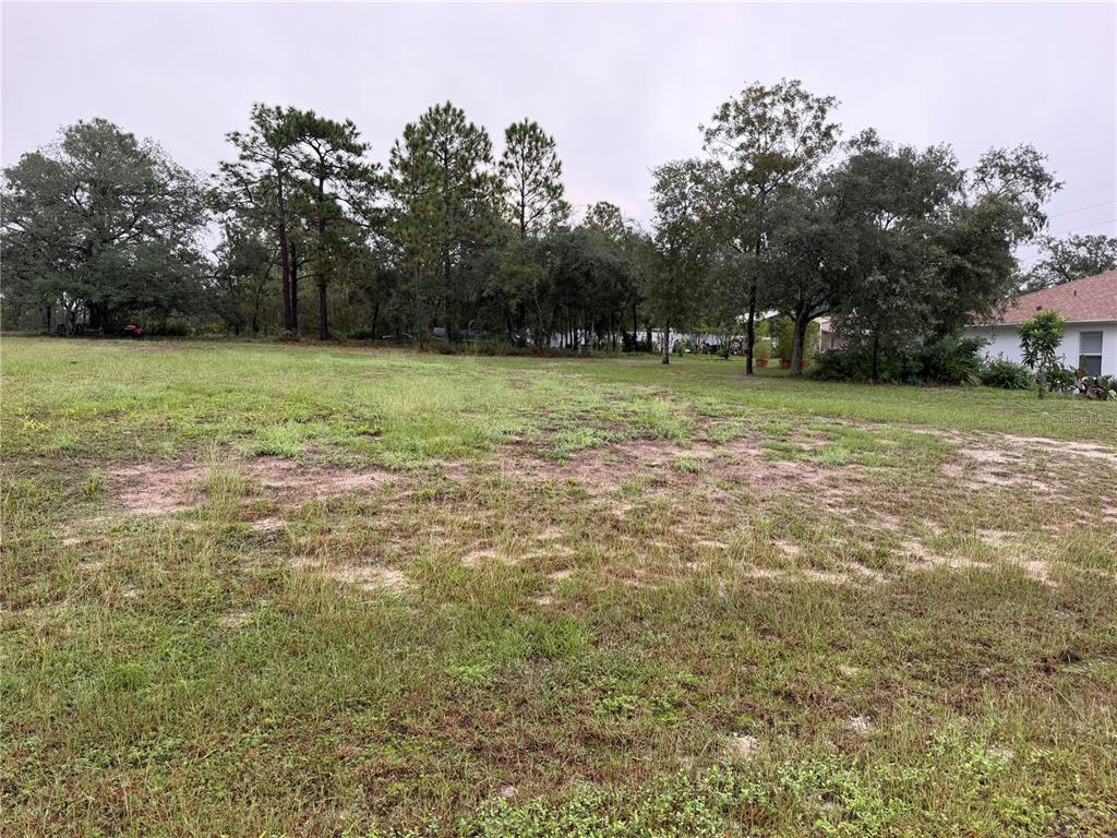 14042 ENGLISH SPARROW ROAD, WEEKI WACHEE, FL — photo 2 of 5