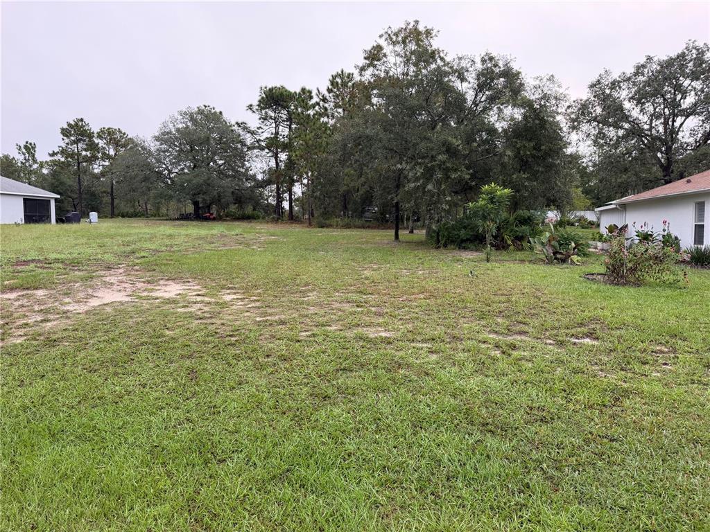 14042 ENGLISH SPARROW ROAD, WEEKI WACHEE, FL — photo 4 of 5