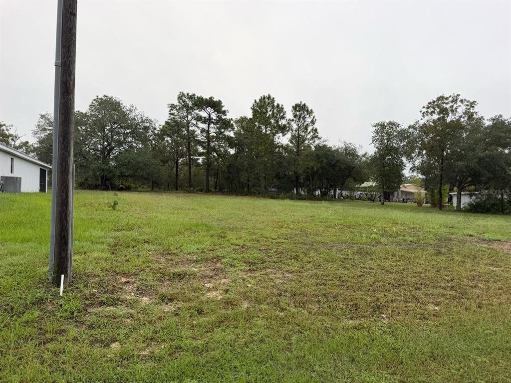 14042 ENGLISH SPARROW ROAD, WEEKI WACHEE, FL — photo 5 of 5