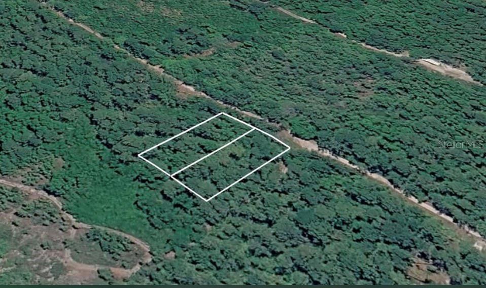 231 and 233 W EDGELINE ROAD, SATSUMA, FL — photo 4 of 6