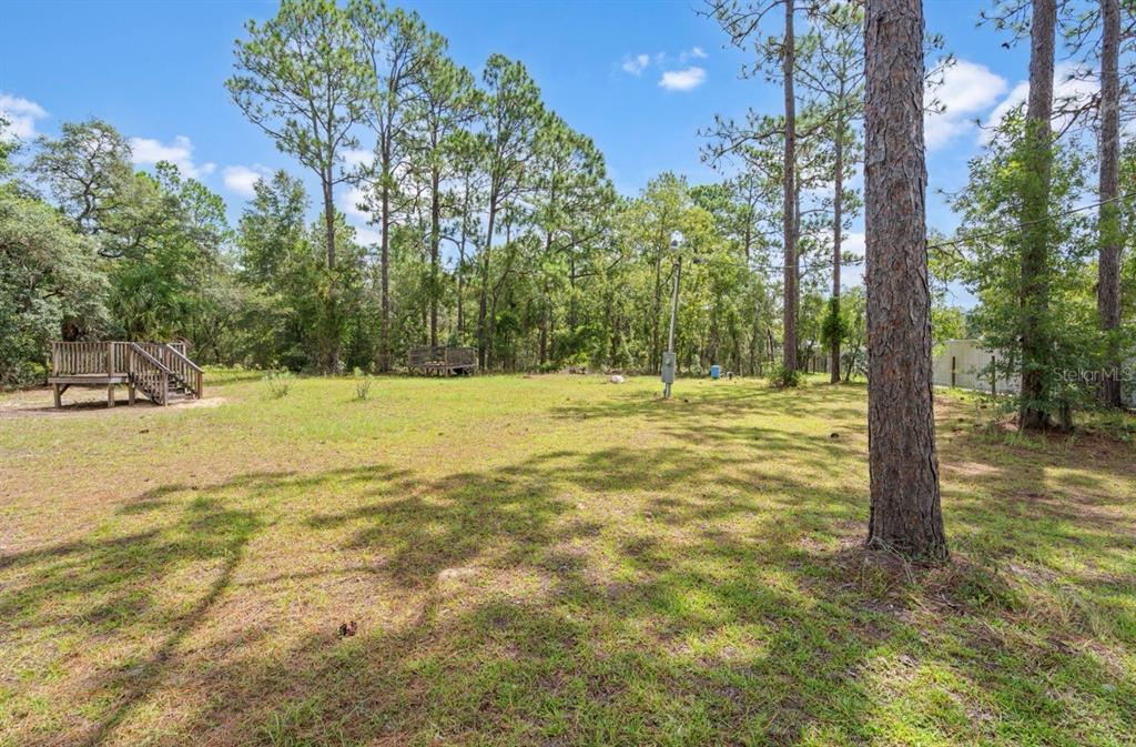 A grassy backyard features a wooden deck and several tall pine trees under a sky — 2851 SE 143RD TERRACE, MORRISTON, FL