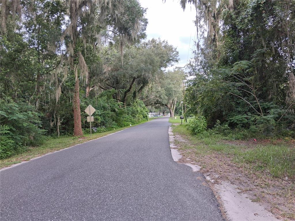 A paved road winds through a wooded area with hanging moss and dense green foliage — COUNTY RD 730, WEBSTER, FL