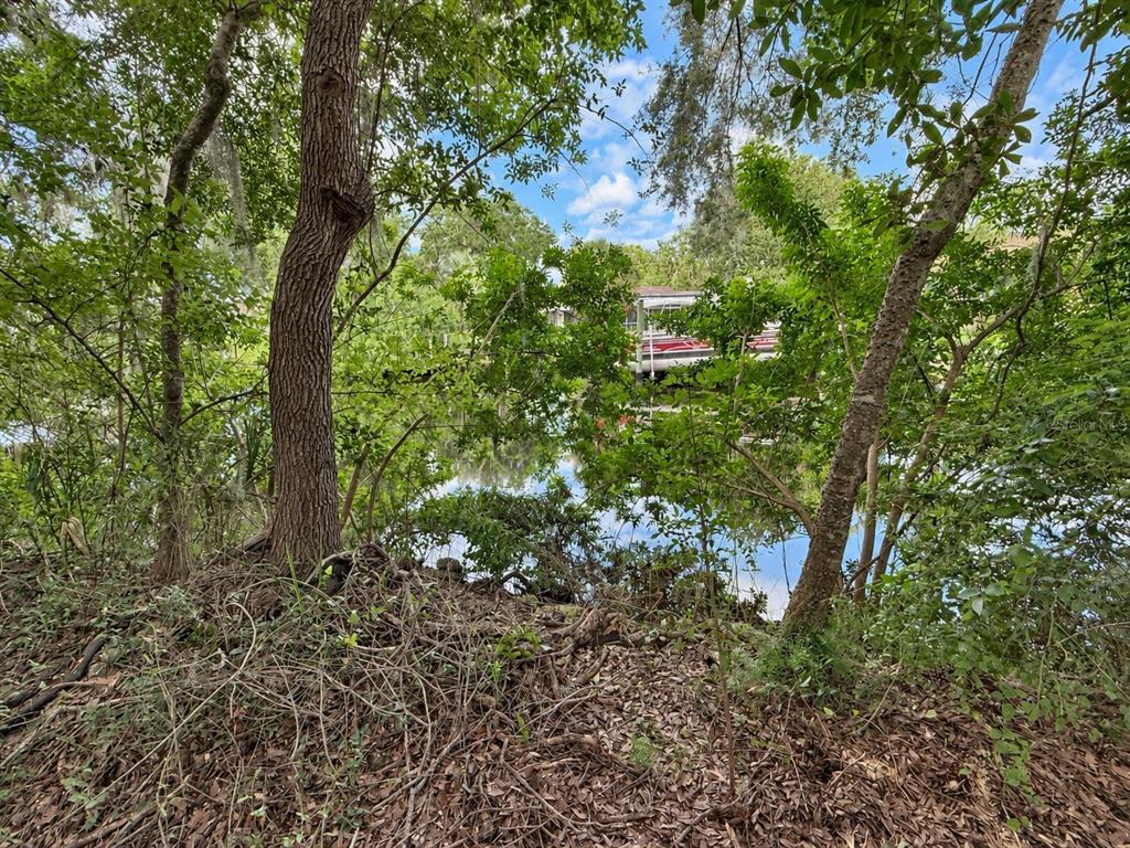 5076 S DEEP WATER POINT, HOMOSASSA, FL — photo 3 of 10