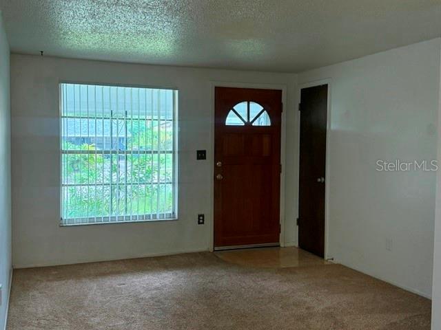 2905 LEMONWOOD STREET, CLEARWATER, FL — photo 4 of 14