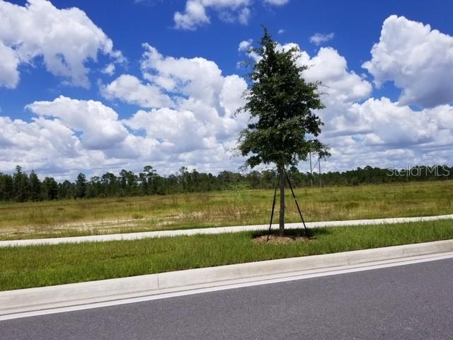 SR-535