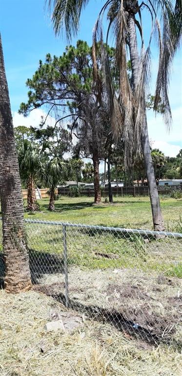 A chain-link fence separates a grassy yard with several palm trees and pine trees — KANAWHA STREET, COCOA, FL