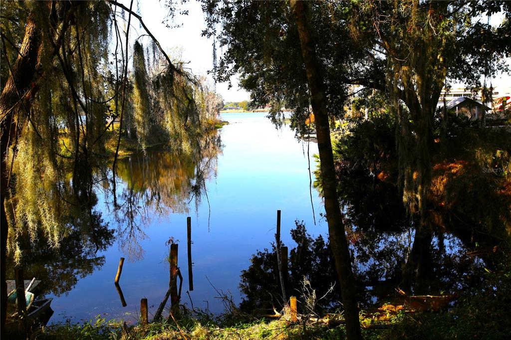 A view of a calm lake framed by trees with hanging Spanish moss — 8807 OVERLOOK DRIVE, WESLEY CHAPEL, FL