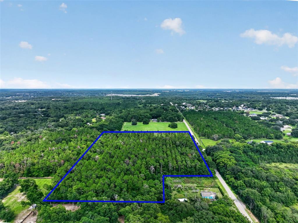 An aerial view shows a large, rectangular plot of forested land outlined in blue — DUDLEY AVENUE, MOUNT DORA, FL