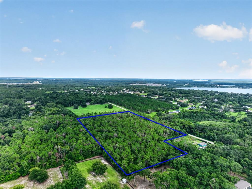 An aerial view shows a wooded plot of land outlined in blue — DUDLEY AVENUE, MOUNT DORA, FL