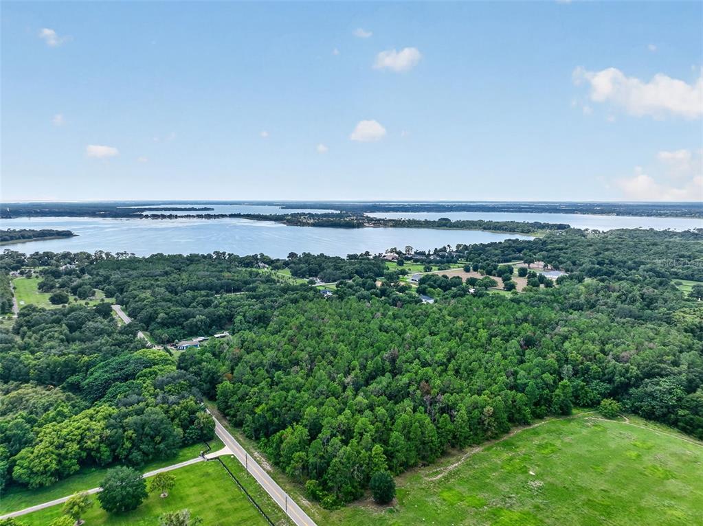 An aerial view shows a large wooded lot bordering a lake under a blue sky — DUDLEY AVENUE, MOUNT DORA, FL