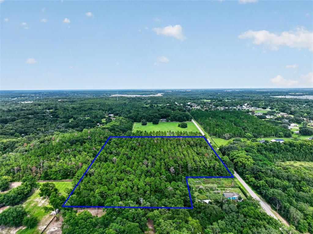 An aerial view shows a wooded plot of land outlined in blue near a road — DUDLEY AVENUE, MOUNT DORA, FL