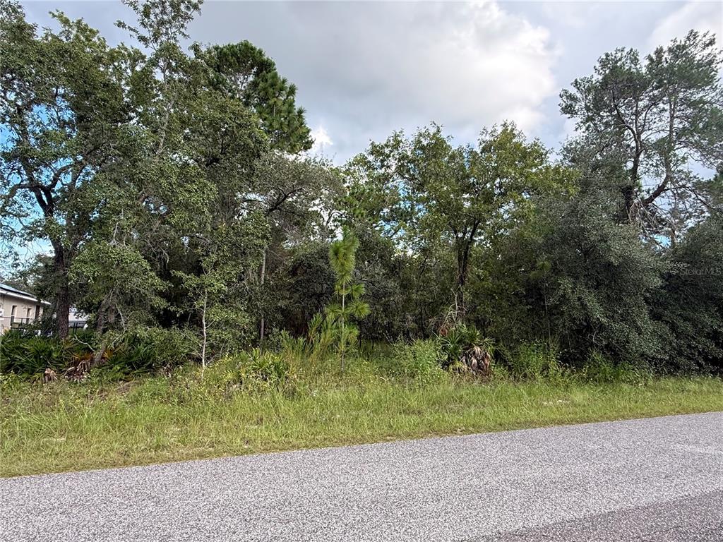 11192 LOMITA WREN ROAD, WEEKI WACHEE, FL — photo 2 of 7