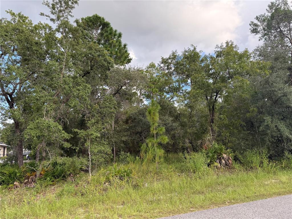 11192 LOMITA WREN ROAD, WEEKI WACHEE, FL — photo 3 of 7