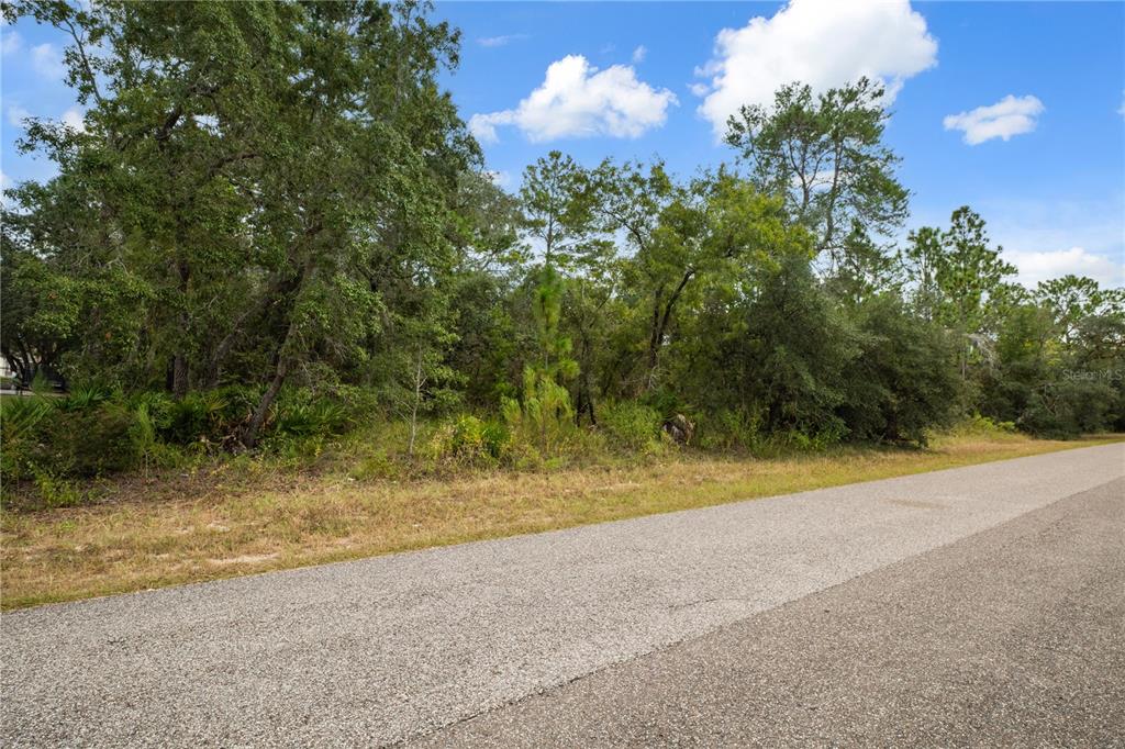 11192 LOMITA WREN ROAD, WEEKI WACHEE, FL — photo 4 of 7