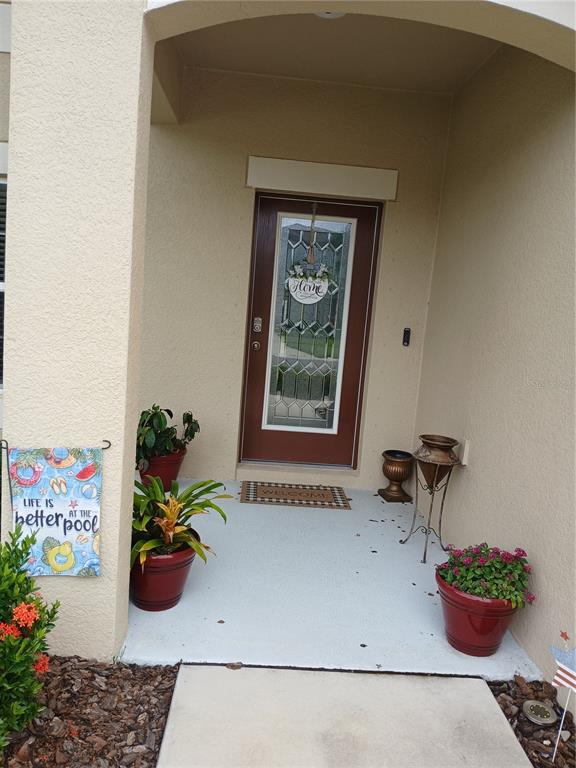 11426 ALACHUA CREEK LANE, RIVERVIEW, FL — photo 2 of 19