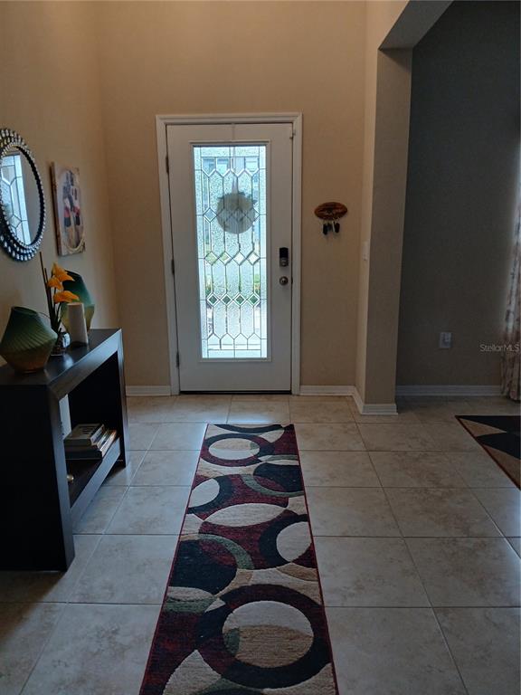 11426 ALACHUA CREEK LANE, RIVERVIEW, FL — photo 3 of 19