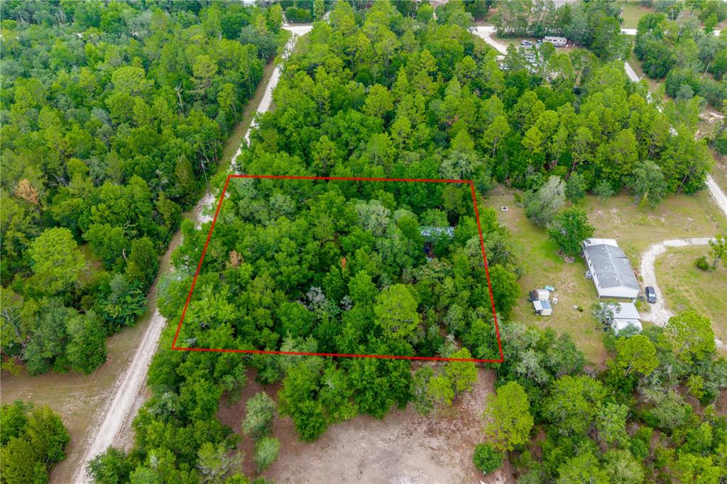 An aerial view shows a rectangular plot of land outlined in red amidst dense trees — 1671 NE 128TH AVENUE, WILLISTON, FL