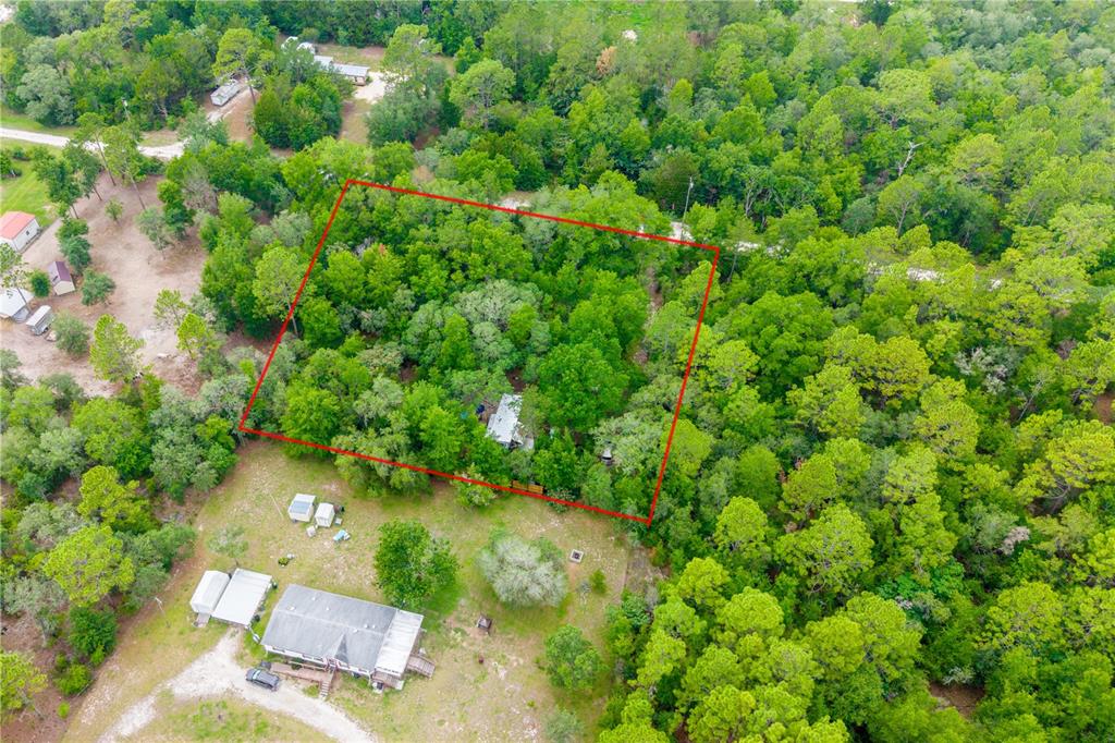 An aerial view shows a wooded, rectangular plot of land outlined in red near a road — 1671 NE 128TH AVENUE, WILLISTON, FL