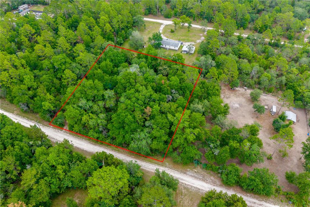 An aerial view shows a rectangular plot of land outlined in red amidst dense woods — 1671 NE 128TH AVENUE, WILLISTON, FL