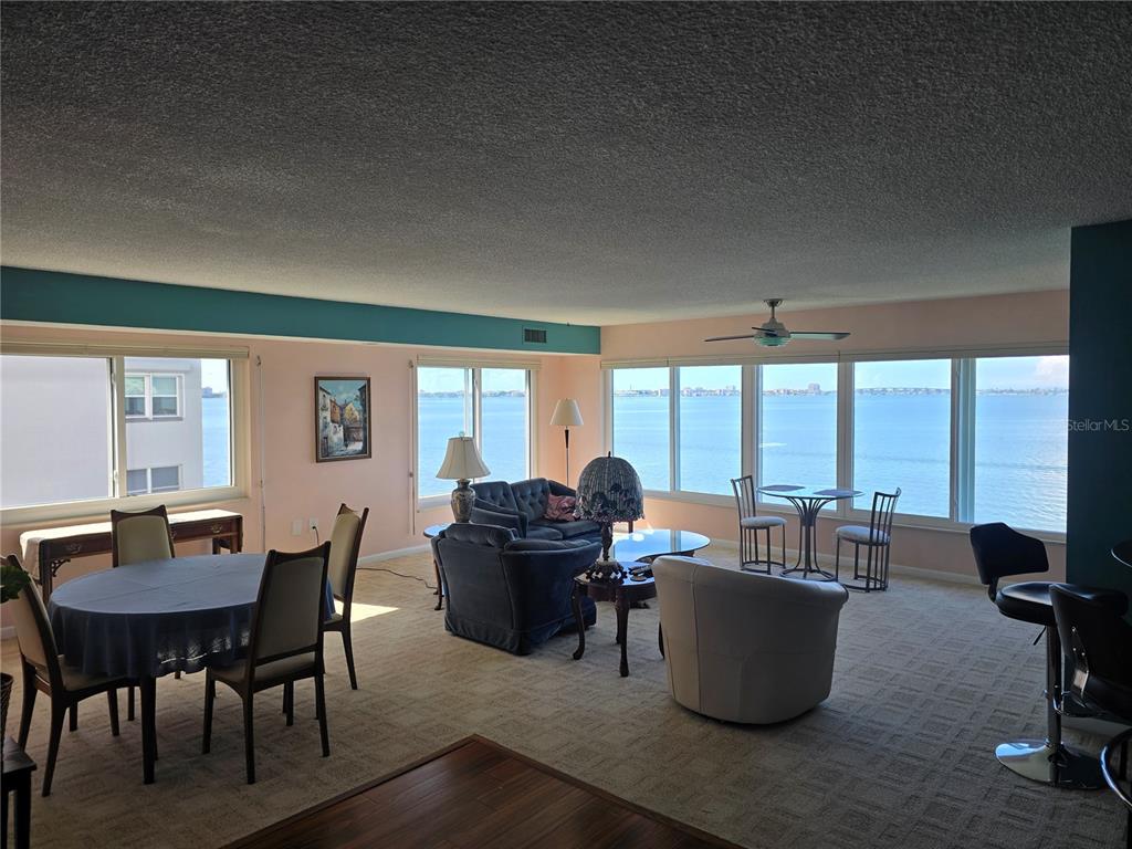 A living and dining area features carpeted floors, large windows with water views, and furniture — 5980 SHORE BOULEVARD S UNIT 501, GULFPORT, FL