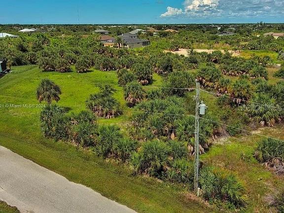 An aerial view shows a grassy, undeveloped lot with scattered palm trees and a utility pole — 10705 RAINSVILLE STREET, PORT CHARLOTTE, FL