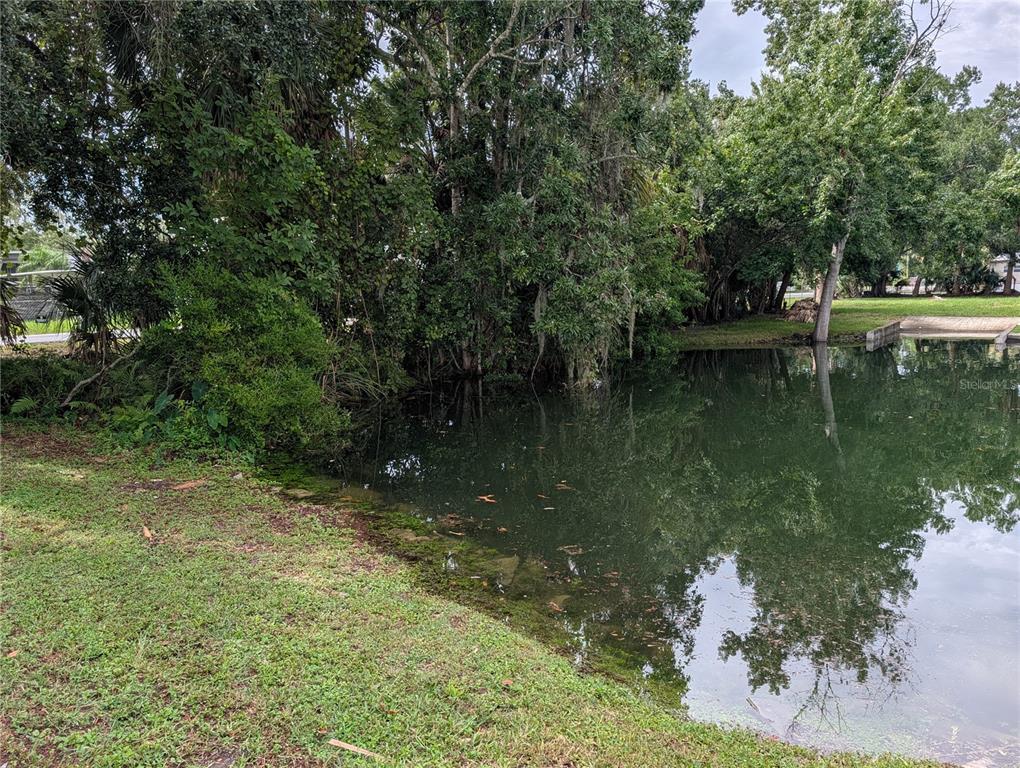 A grassy bank leads to a small pond surrounded by dense trees and foliage — SEBRING STREET, WEEKI WACHEE, FL