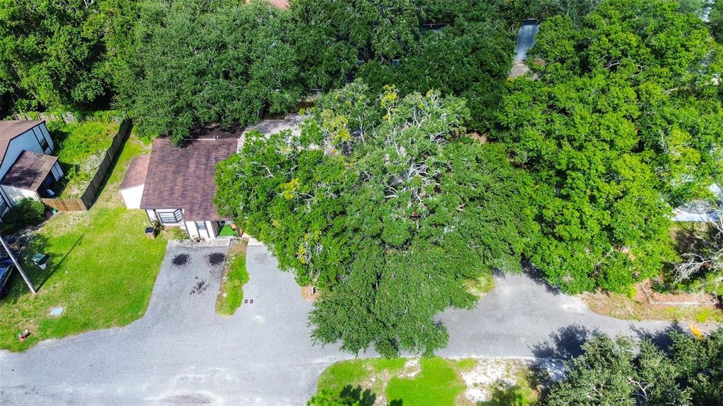An aerial view shows a house with a large tree canopy covering the driveway — 10306 COUNCILS WAY, TEMPLE TERRACE, FL