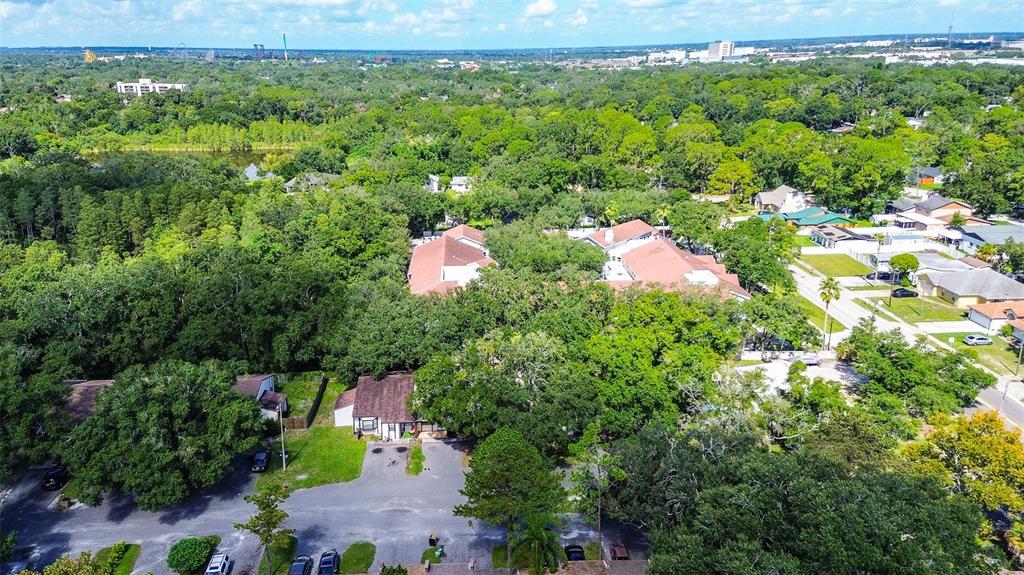 An aerial view shows a residential neighborhood surrounded by dense trees and a distant skyline — 10306 COUNCILS WAY, TEMPLE TERRACE, FL