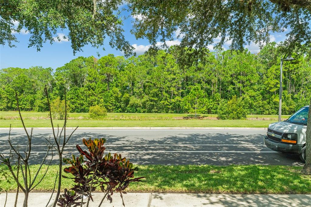 3353 SCHOOLHOUSE RD, ST CLOUD, FL — photo 2 of 30