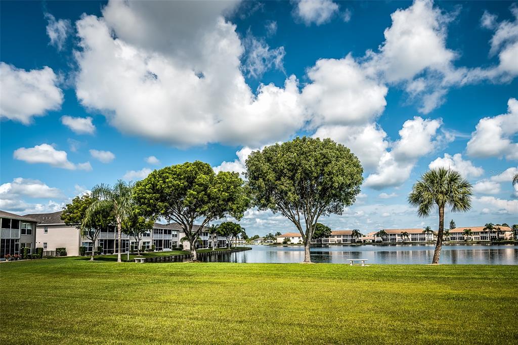 A grassy lawn leads to a lake surrounded by residential buildings and several large trees — 11644 EGRET CIRCLE UNIT 1303, LAKE SUZY, FL