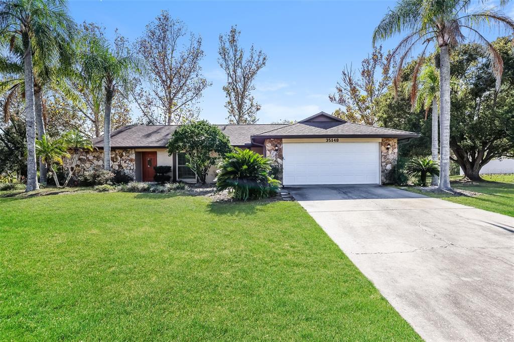 35148 DOLPHIN LAKE DRIVE