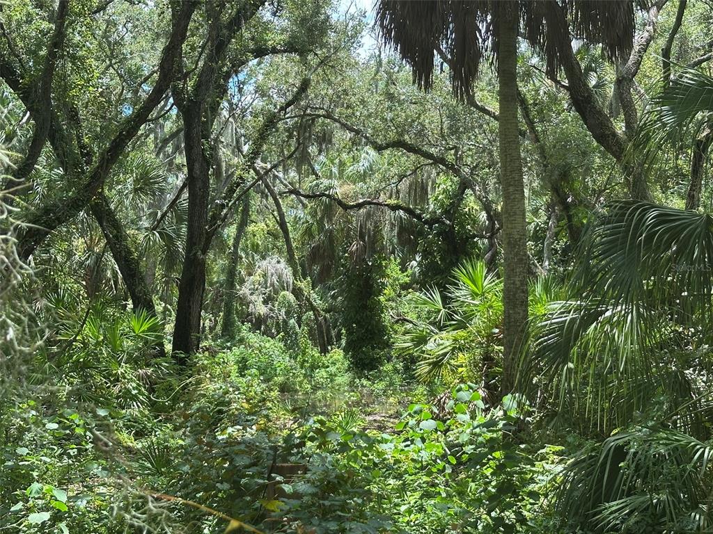 1676 HERMOSA DRIVE, PALM HARBOR, FL — photo 2 of 98