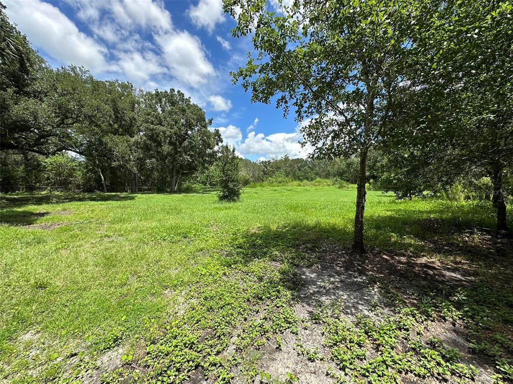 1676 HERMOSA DRIVE, PALM HARBOR, FL — photo 3 of 98